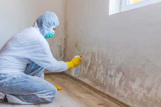 Hvac And Air Duct Mold Remediation inspection of HVAC system in Milton